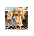 moka52100202（個別スタンプ：5）