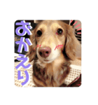 moka52100202（個別スタンプ：6）