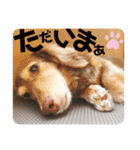 moka52100202（個別スタンプ：7）