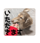 moka52100202（個別スタンプ：9）