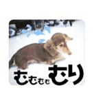 moka52100202（個別スタンプ：12）
