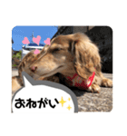 moka52100202（個別スタンプ：16）
