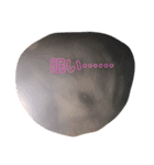 激カワ？！ハムちゃんスタンプ？！（個別スタンプ：7）