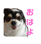 key style 3（個別スタンプ：3）