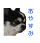 key style 3（個別スタンプ：5）