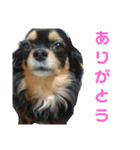 key style 3（個別スタンプ：8）