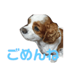 key style 3（個別スタンプ：11）