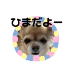 key style 3（個別スタンプ：16）