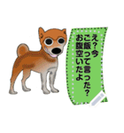 プリティな柴犬 vol7（個別スタンプ：9）