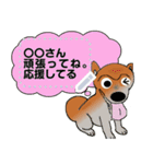 プリティな柴犬 vol7（個別スタンプ：10）