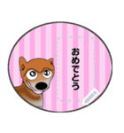 プリティな柴犬 vol7（個別スタンプ：11）