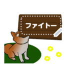 プリティな柴犬 vol7（個別スタンプ：13）