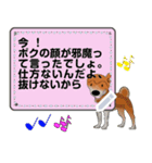 プリティな柴犬 vol7（個別スタンプ：16）