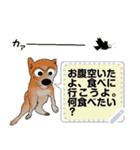 プリティな柴犬 vol7（個別スタンプ：19）