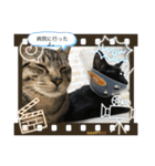 ねこといぬ！のスタンプ（個別スタンプ：37）
