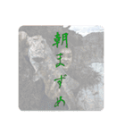 釣り男（個別スタンプ：2）