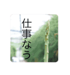 釣り男（個別スタンプ：20）