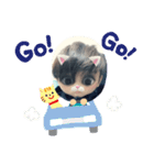 そまめりスタンプ第1弾（個別スタンプ：14）