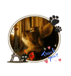 Kuma三昧（個別スタンプ：3）