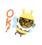 Kuma三昧（個別スタンプ：8）