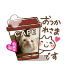 Kuma三昧（個別スタンプ：16）