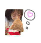 うちのちーたん（個別スタンプ：5）