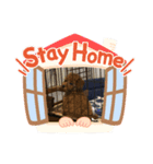 ペコリンのスタンプだーーーー（個別スタンプ：6）