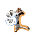アリー·ジャック（個別スタンプ：3）