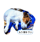 アリー·ジャック（個別スタンプ：13）