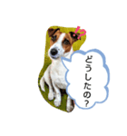 アリー·ジャック（個別スタンプ：16）