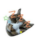 jon-Love（個別スタンプ：3）
