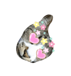jon-Love（個別スタンプ：7）