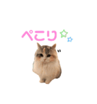 ぽーむぽーむぽむ♪2（個別スタンプ：1）