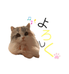 ぽーむぽーむぽむ♪2（個別スタンプ：2）