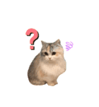 ぽーむぽーむぽむ♪2（個別スタンプ：6）