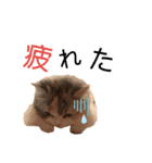 ぽーむぽーむぽむ♪2（個別スタンプ：7）