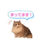 ぽーむぽーむぽむ♪2（個別スタンプ：10）