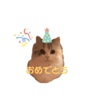 ぽーむぽーむぽむ♪2（個別スタンプ：11）