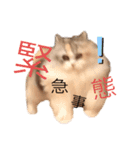 ぽーむぽーむぽむ♪2（個別スタンプ：12）