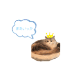 ぽーむぽーむぽむ♪2（個別スタンプ：13）
