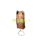 ぽーむぽーむぽむ♪2（個別スタンプ：14）