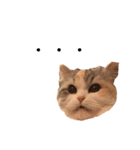 ぽーむぽーむぽむ♪2（個別スタンプ：18）