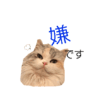 ぽーむぽーむぽむ♪2（個別スタンプ：19）