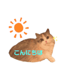 ぽーむぽーむぽむ♪2（個別スタンプ：21）