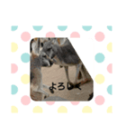 日常で使えるスタンプ-5（個別スタンプ：5）