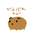 タコとピヨとカピのスタンプ KT6（個別スタンプ：10）