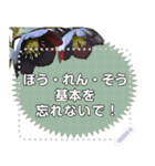 クリスマスローズでメッセージ（個別スタンプ：17）