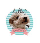 だーくん（Daniel）（個別スタンプ：1）