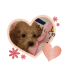 だーくん（Daniel）（個別スタンプ：3）