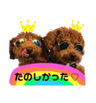 犬♡トイプードル家族（個別スタンプ：15）